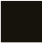 Bresser SBP02 Rouleau de Fond 2.00x11m noir