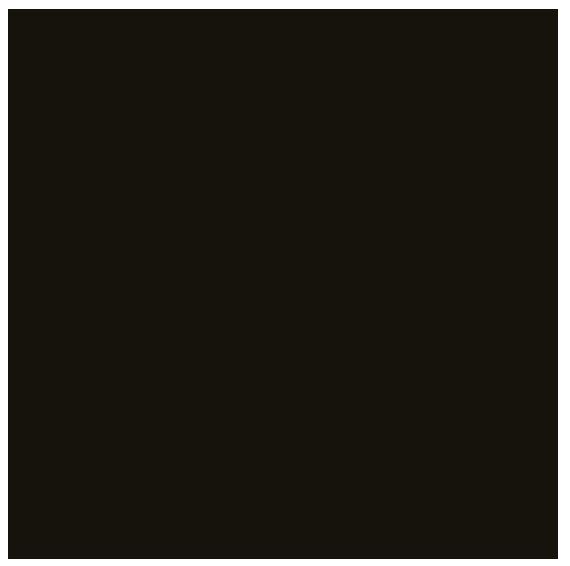 Bresser SBP02 Rouleau de Fond 2.00x11m noir