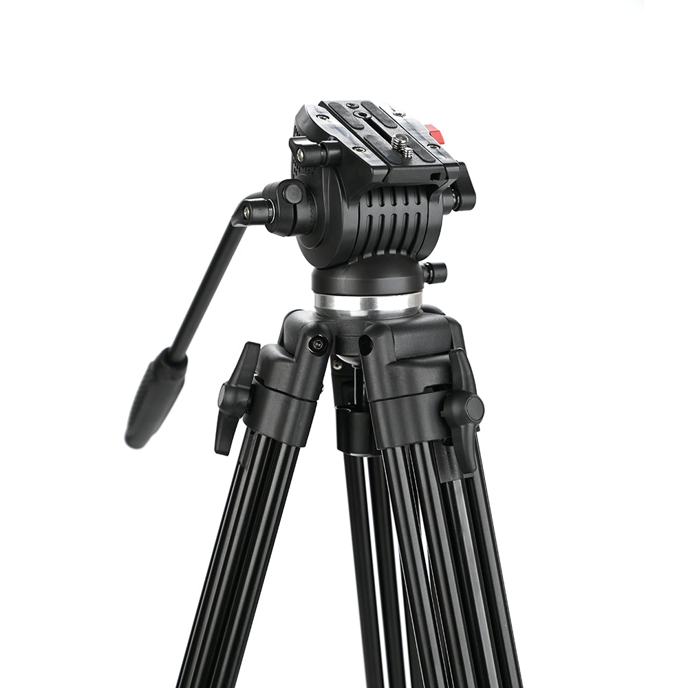 Caruba Videostar 177 Pro Trépied Vidéo + Tête à amortissement liquide