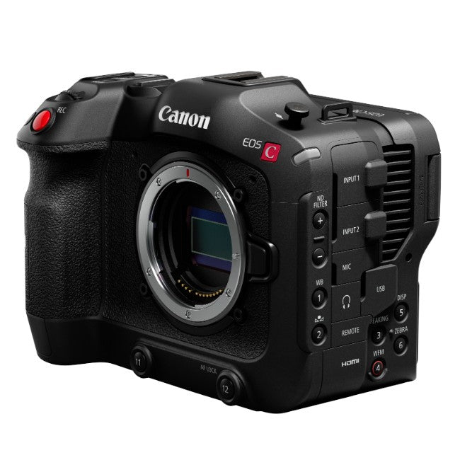 Canon EOS C70 + RF 24-105mm f/4L IS USM