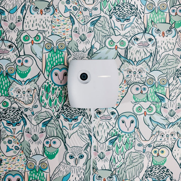 Owl Labs In-room Whiteboard Camera