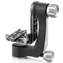 Benro Swing / Gimbal Kopf mit Wechselplatte (GH2N)