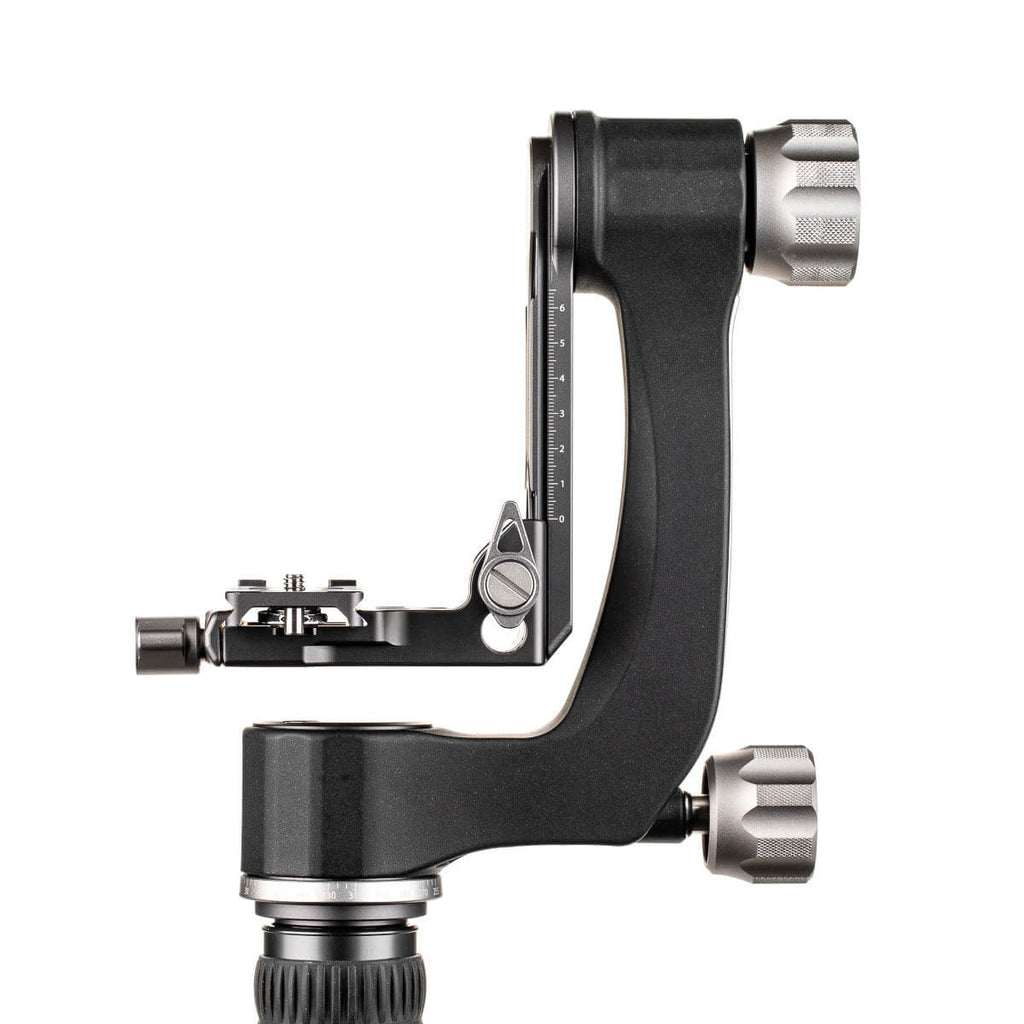 Benro Swing / Gimbal Kopf mit Wechselplatte (GH2N)