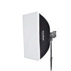 Godox Litemons LA200D Daylight Duo Kit