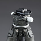 Falcam F38 Schnellwechselplatte mit zwei Schraubengewinden V2 2969A