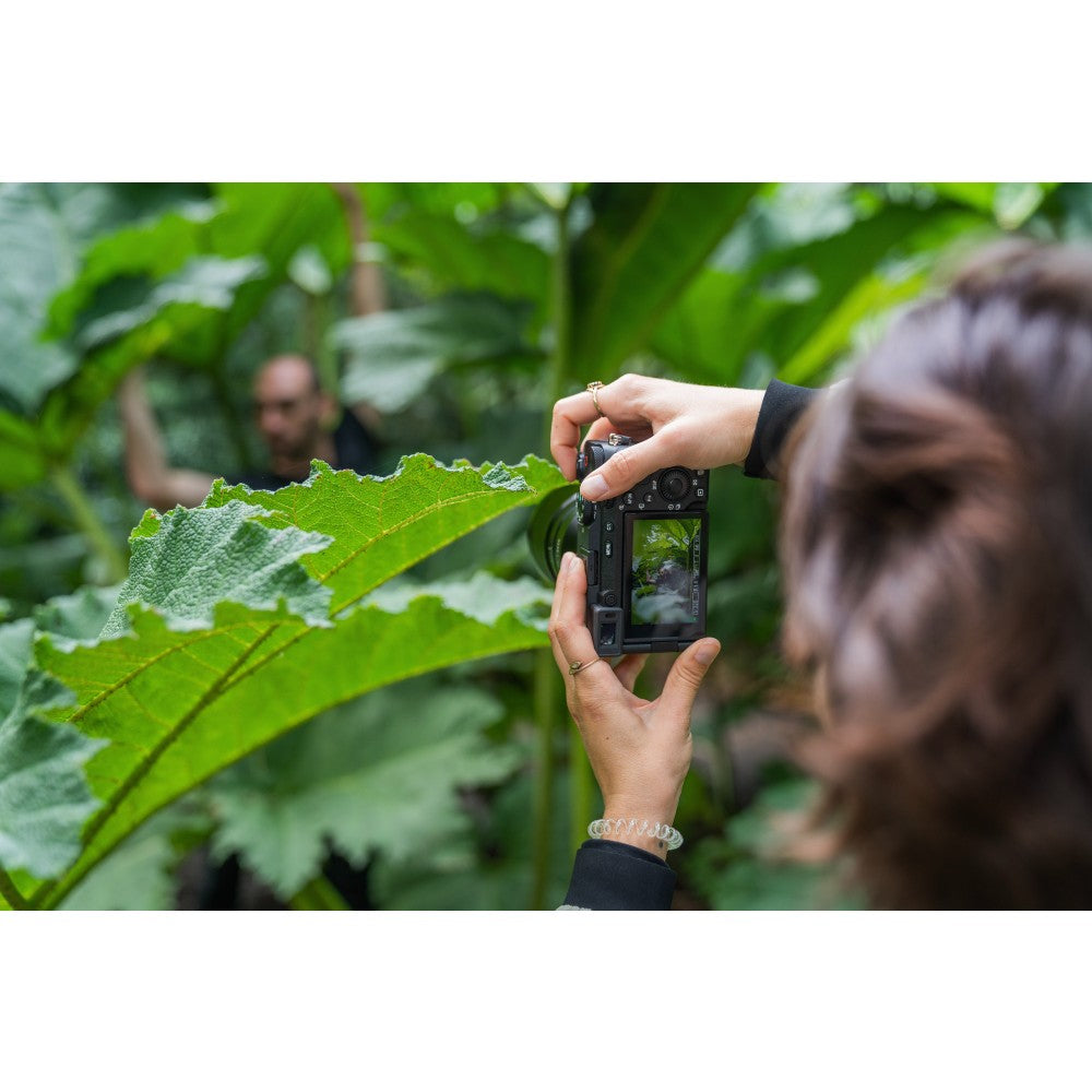 Sony A7C R Boîtier Nu argent