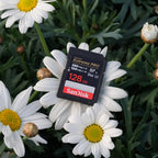SanDisk Extreme PRO V60 SDXC 128 Go UHS-II, Classe 10