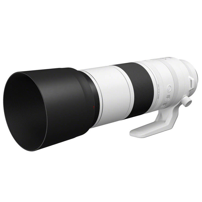 Canon RF 200-800mm f/6.3-9 IS