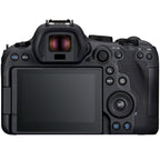 Canon EOS R6 mark II + RF 35mm f/1.8 IS Macro STM