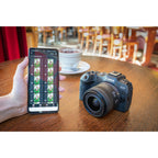 Canon EOS R8 + RF 24-105mm f/4L IS USM