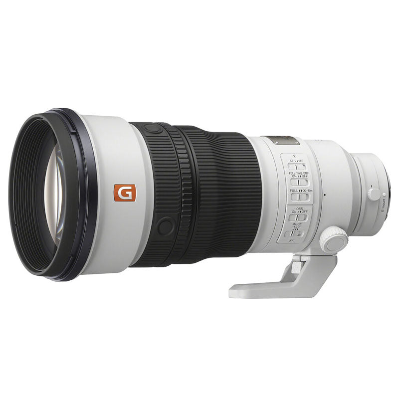Sony FE 300mm f/2.8 GM OSS + FE 1.4x Teleconverter