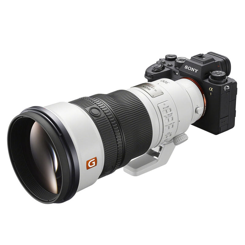 Sony FE 300mm f/2.8 GM OSS + FE 1.4x Teleconverter