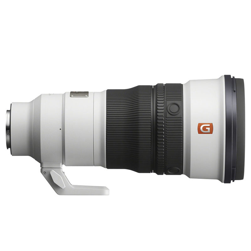 Sony FE 300mm f/2.8 GM OSS + FE 1.4x Teleconverter
