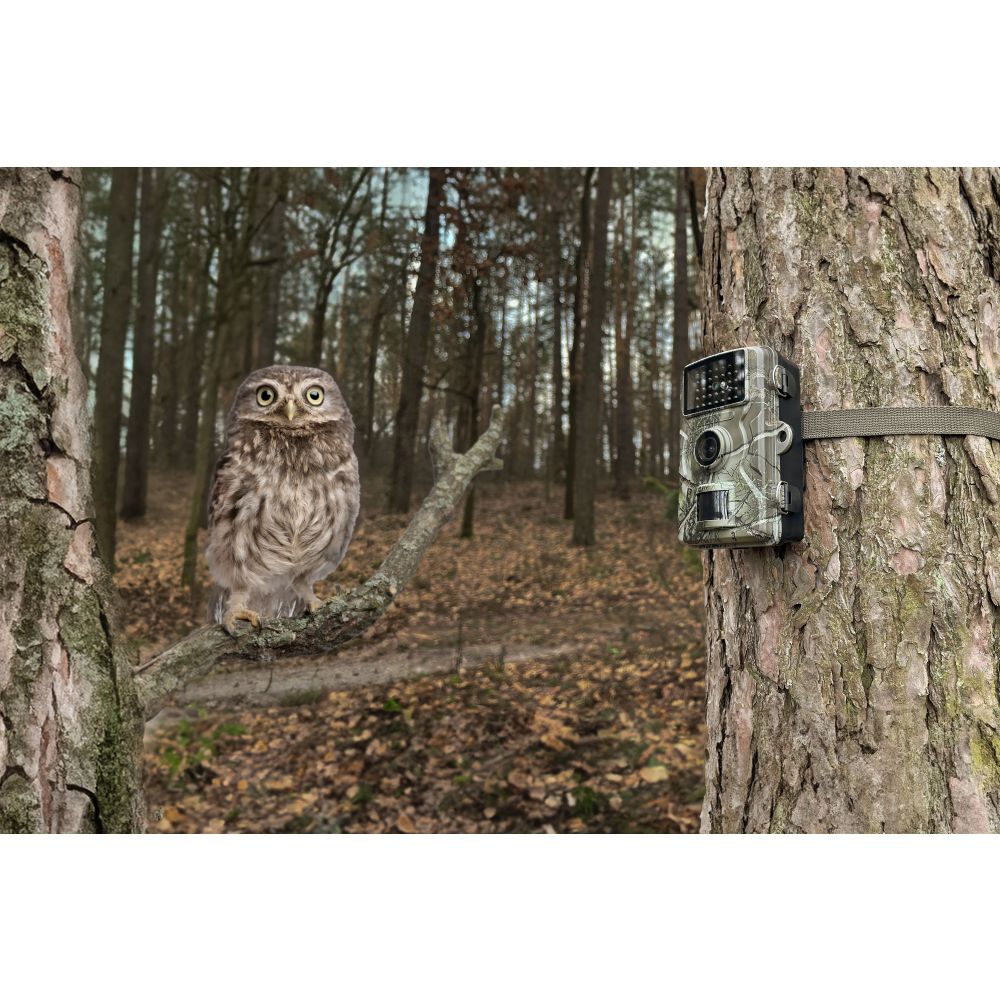 Technaxx Wildlife camera 1080p TX-256