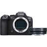 Canon EOS R6 Mark II + EF - RF adaptateur de monture