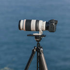 Falcam TreeRoot Quick Lock Travel tripod