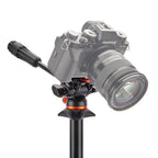 3 Legged Thing Airhed Trinity, schwarz/orange