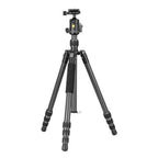 Vanguard VESTA GO 234CB