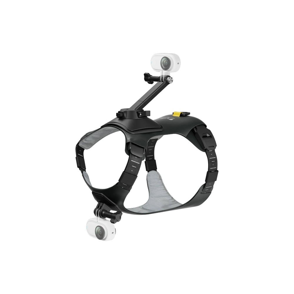 Insta360 Harnais pour animaux de compagnie Taille S