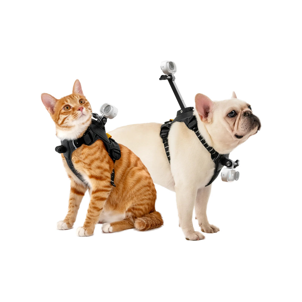Insta360 Harnais pour animaux de compagnie Taille S