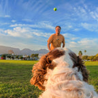 Insta360 Harnais pour animaux de compagnie Taille S