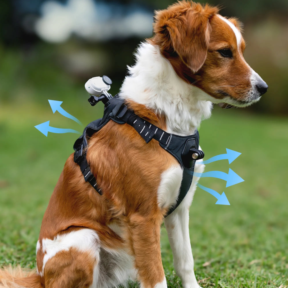 Insta360 Harnais pour animaux de compagnie Taille S