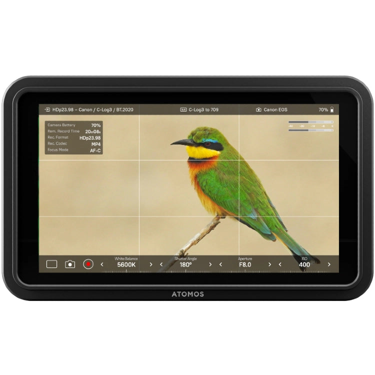 ATOMOS Shinobi II 5.2 Monitor