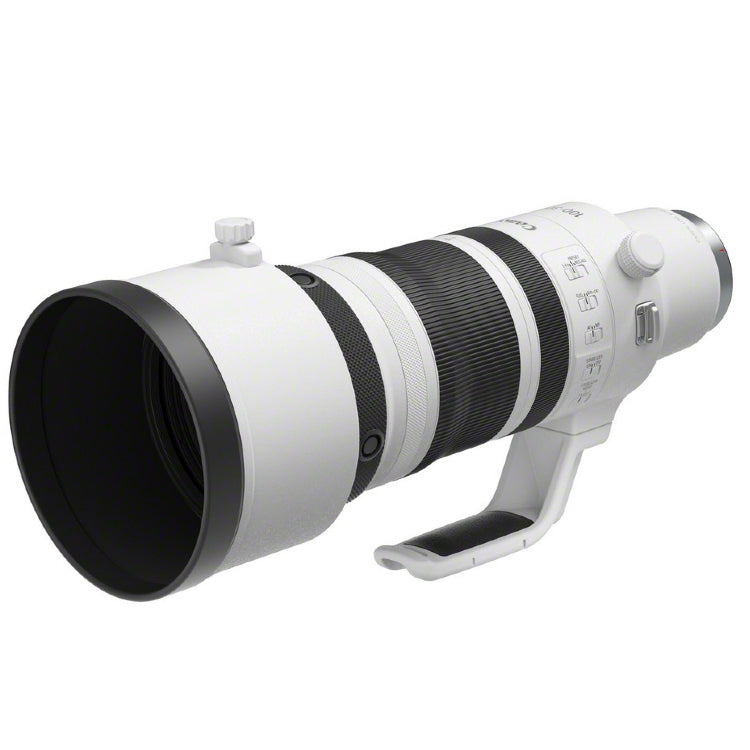 Canon EOS R3 + RF 100-300mm f/2.8L IS USM