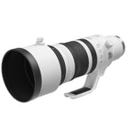 Canon EOS R3 + RF 100-300mm f/2.8L IS USM
