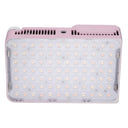 amaran Ace 25x rosa