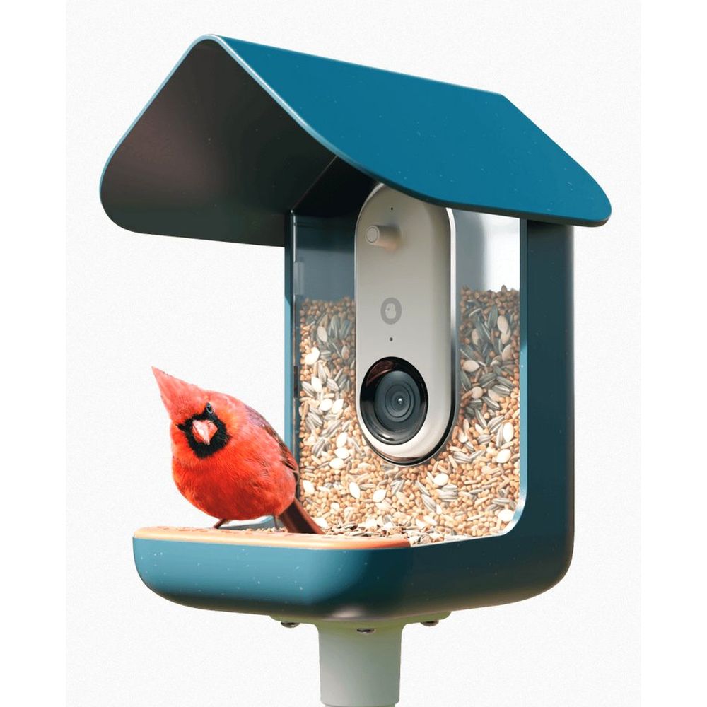 Bird Buddy 2.0 Mangeoire d'oiseaux intelligente avec panneau solaire
