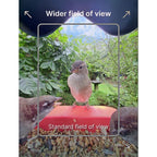 Bird Buddy 2.0 Mangeoire d'oiseaux intelligente avec panneau solaire