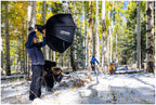 Profoto 901081 Pro-B3 Einzel-Kit