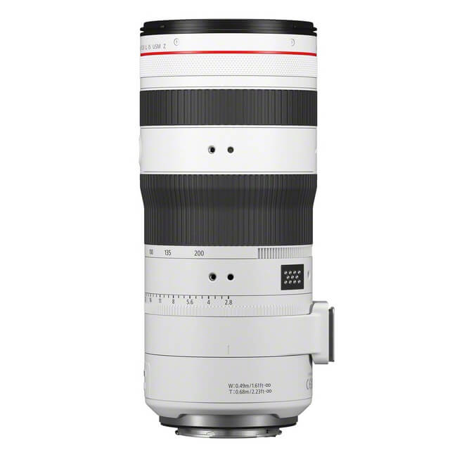 Canon EOS R1 + RF 70-200mm f/2.8L IS USM Z, blanc