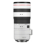 Canon EOS R1 + RF 70-200mm f/2.8L IS USM Z, blanc