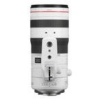 Canon EOS R1 + RF 70-200mm f/2.8L IS USM Z, blanc
