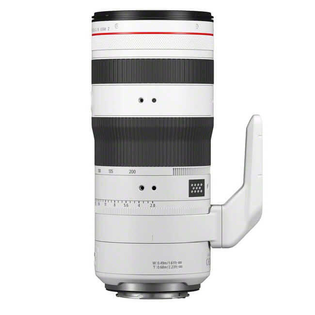 Canon EOS R1 + RF 70-200mm f/2.8L IS USM Z, blanc