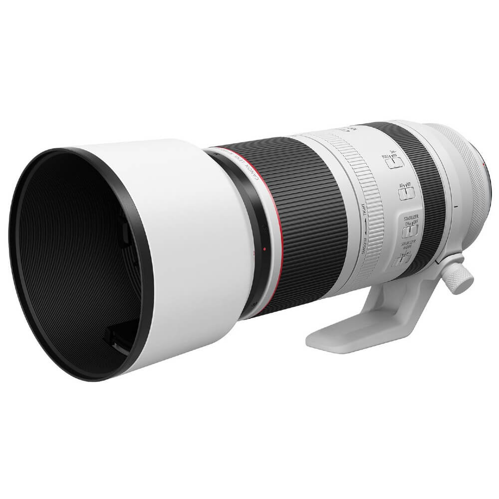 Canon EOS R5 mark II + RF 100-500mm f/4.5-7.1L IS USM