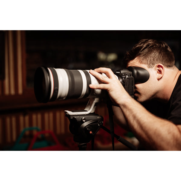 Canon EOS R5 mark II + RF 200-800mm f/6.3-9 IS USM