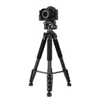 Rollei Compact Traveler Star S4 Reisestativ