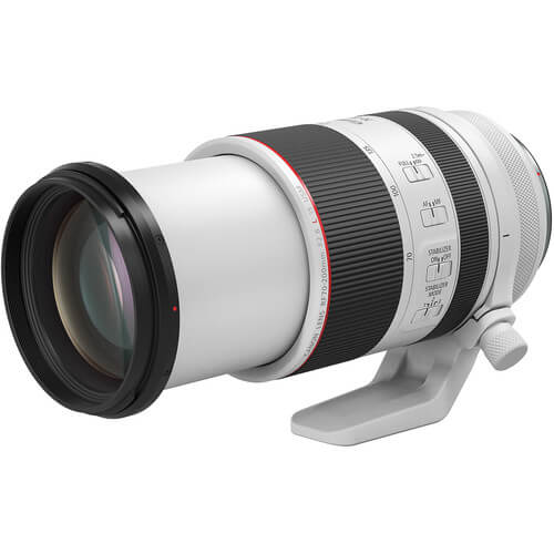 Canon EOS R1 + RF 70-200mm f/2.8L IS USM