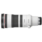 Canon EOS R1 + RF 100-300mm f/2.8L IS USM