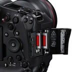 Canon EOS R1 + RF 100-300mm f/2.8L IS USM