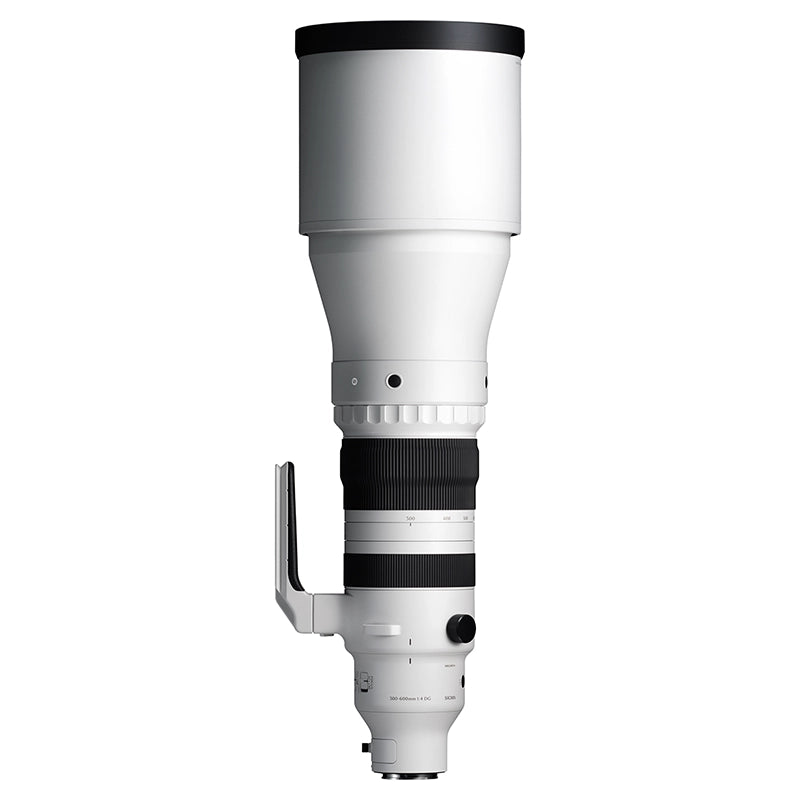 SIGMA 300-600mm f/4 DG OS Sports L-mount