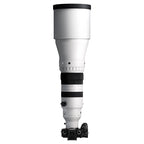 SIGMA 300-600mm f/4 DG OS Sports L-mount
