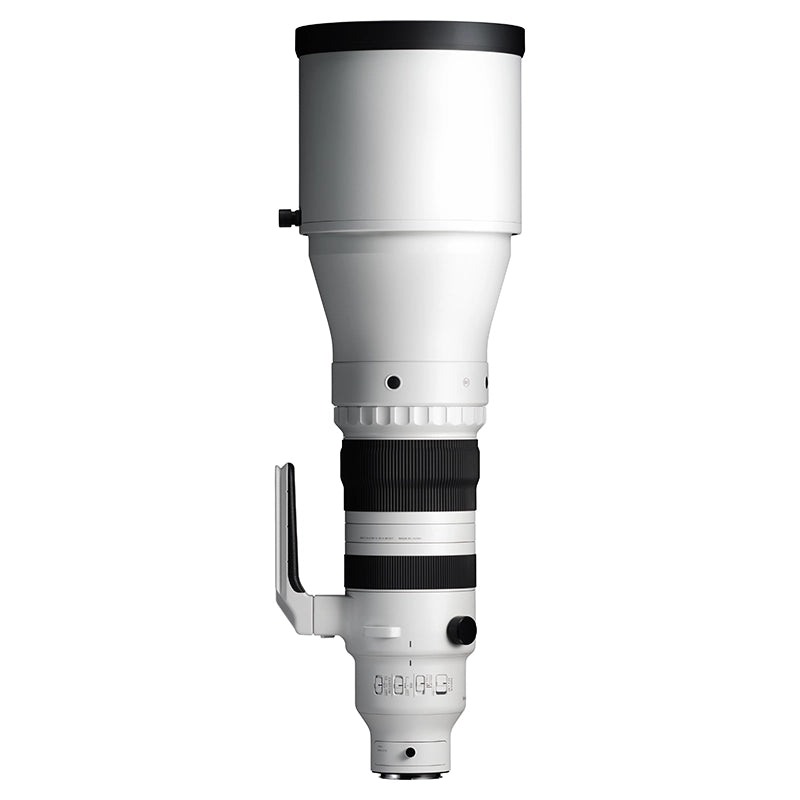 SIGMA 300-600mm f/4 DG OS Sports L-mount