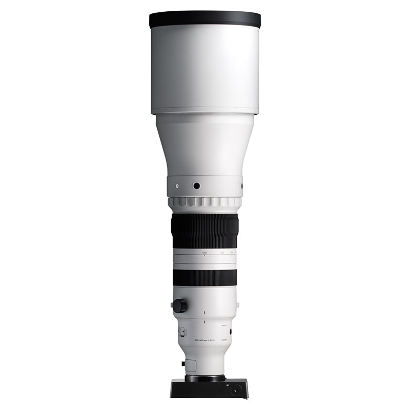 SIGMA 300-600mm f/4 DG OS Sports L-mount