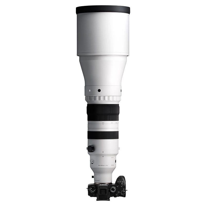 SIGMA 300-600mm f/4 DG OS Sports Sony E-mount