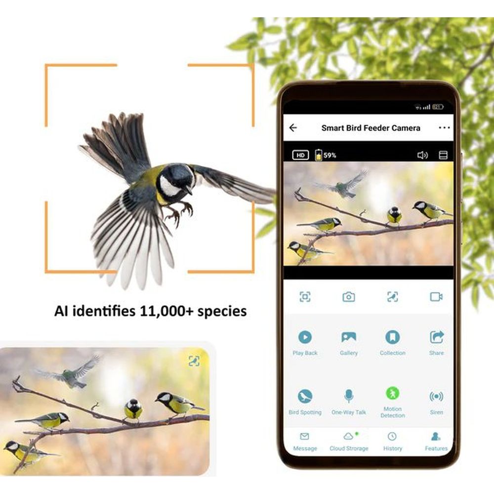 Camouflage EZ-BirdFeed Caméra pour animaux sauvages