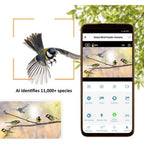 Camouflage EZ-BirdFeed Caméra pour animaux sauvages